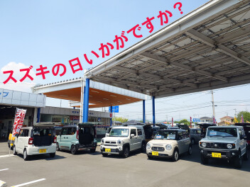 7月もスズキの日です！